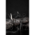 obraz_2026-05-08_130453655.png